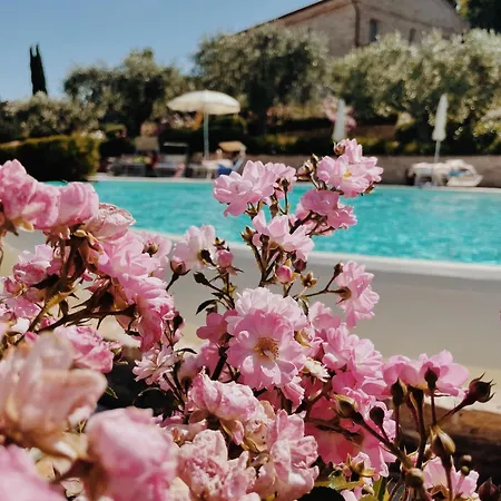 Pamperduto Country * بورتو بوتنزا بيشينا