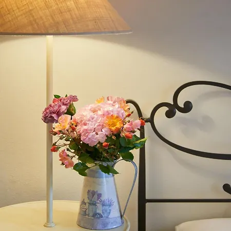 Landsted Pamperduto Country